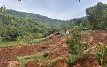 Toby Carvery, Schneider Electric, dan Bencana Alam: Berita Terkini Juni 2026