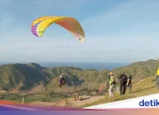 Tragedi Paragliding di Swansea: Daniel Morgan Meninggal dalam Kecelakaan