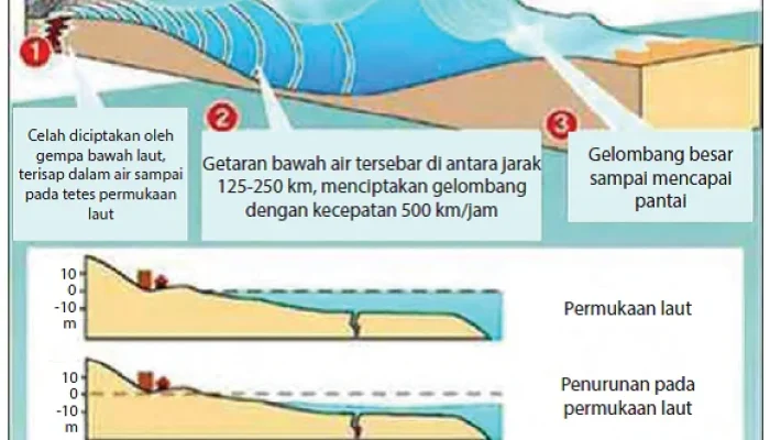 Tsunami Durian dan Fenomena Lainnya: Mengenal Lebih Dekat tentang Tsunami