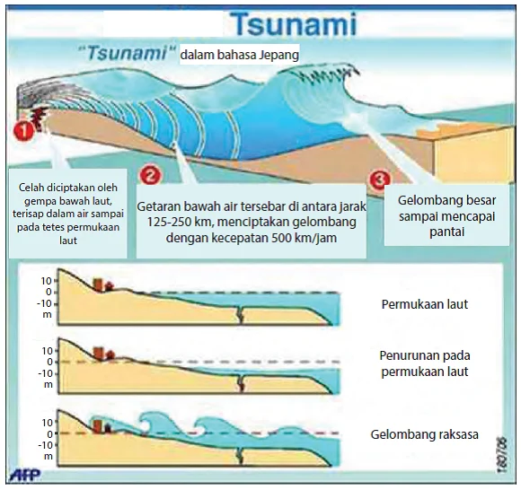 Tsunami Durian dan Fenomena Lainnya: Mengenal Lebih Dekat tentang Tsunami
