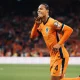 Virgil van Dijk dan Kontroversi Piala Dunia 2026: Hydrasi, Akademi, dan Komentar Rasisme