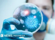 Wabah Hantavirus dan Ebola: Ancaman Kesehatan Global yang Semakin Meningkat