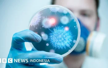 Wabah Hantavirus dan Ebola: Ancaman Kesehatan Global yang Semakin Meningkat