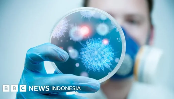 Wabah Hantavirus dan Ebola: Ancaman Kesehatan Global yang Semakin Meningkat