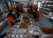 Wakil Kepala Badan Gizi Nasional: SPPG Wajib Beli Telur Langsung ke Peternak