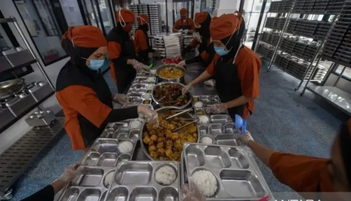 Wakil Kepala Badan Gizi Nasional: SPPG Wajib Beli Telur Langsung ke Peternak