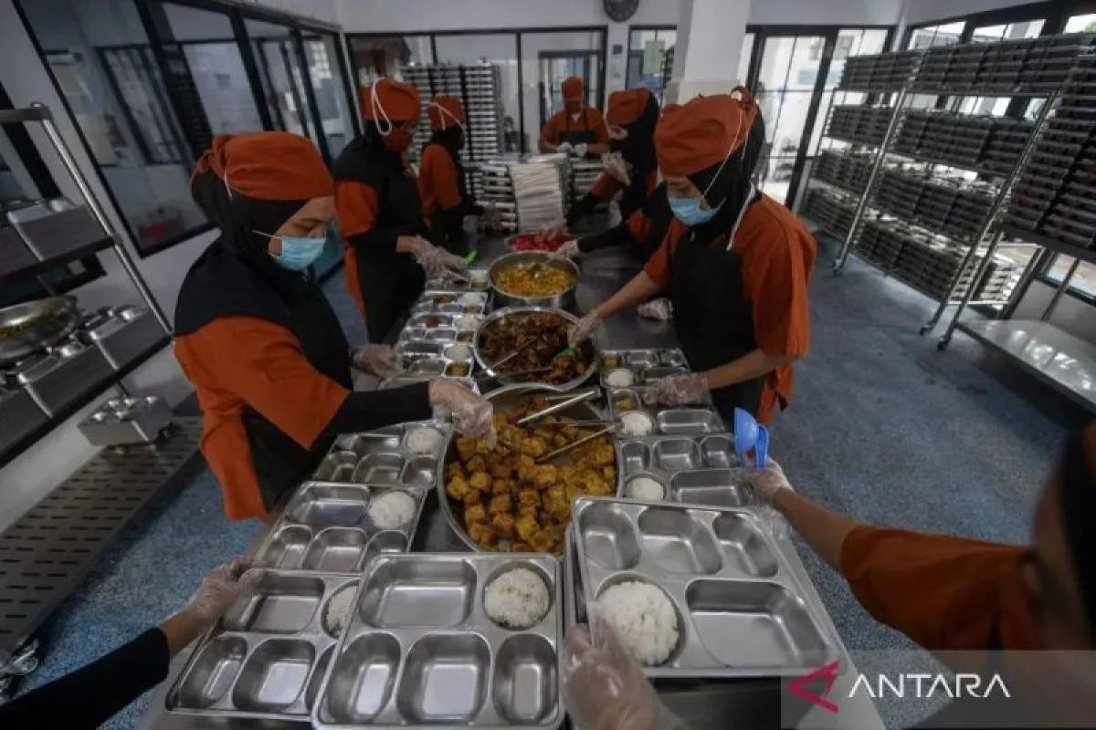 Wakil Kepala Badan Gizi Nasional: SPPG Wajib Beli Telur Langsung ke Peternak