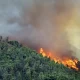 Aljazair Dilanda Kebakaran Hutan, Lebih dari 100 Orang Dirawat di Rumah Sakit