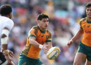 Australia Cup: Persiapan Wallabies dan Perkembangan Terbaru