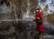 Ayia Anna Kecam Pihak Pertahanan atas Kebakaran Hutan