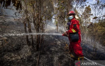 Ayia Anna Kecam Pihak Pertahanan atas Kebakaran Hutan