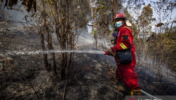 Ayia Anna Kecam Pihak Pertahanan atas Kebakaran Hutan