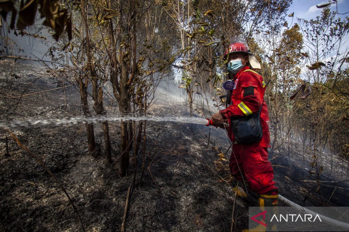 Ayia Anna Kecam Pihak Pertahanan atas Kebakaran Hutan