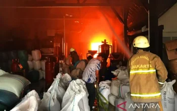 Bentrokan di Matraman: Kronologi, Dampak, dan Upaya Penanganan