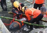 Bom Aircraft Perang Dunia II yang Ditemukan di Blitar Ternyata Masih Aktif
