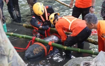 Bom Aircraft Perang Dunia II yang Ditemukan di Blitar Ternyata Masih Aktif