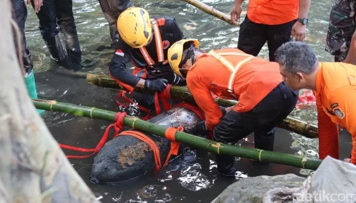 Bom Aircraft Perang Dunia II yang Ditemukan di Blitar Ternyata Masih Aktif