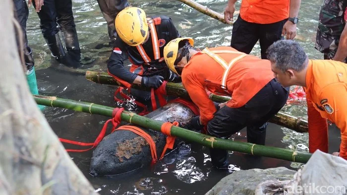 Bom Aircraft Perang Dunia II yang Ditemukan di Blitar Ternyata Masih Aktif