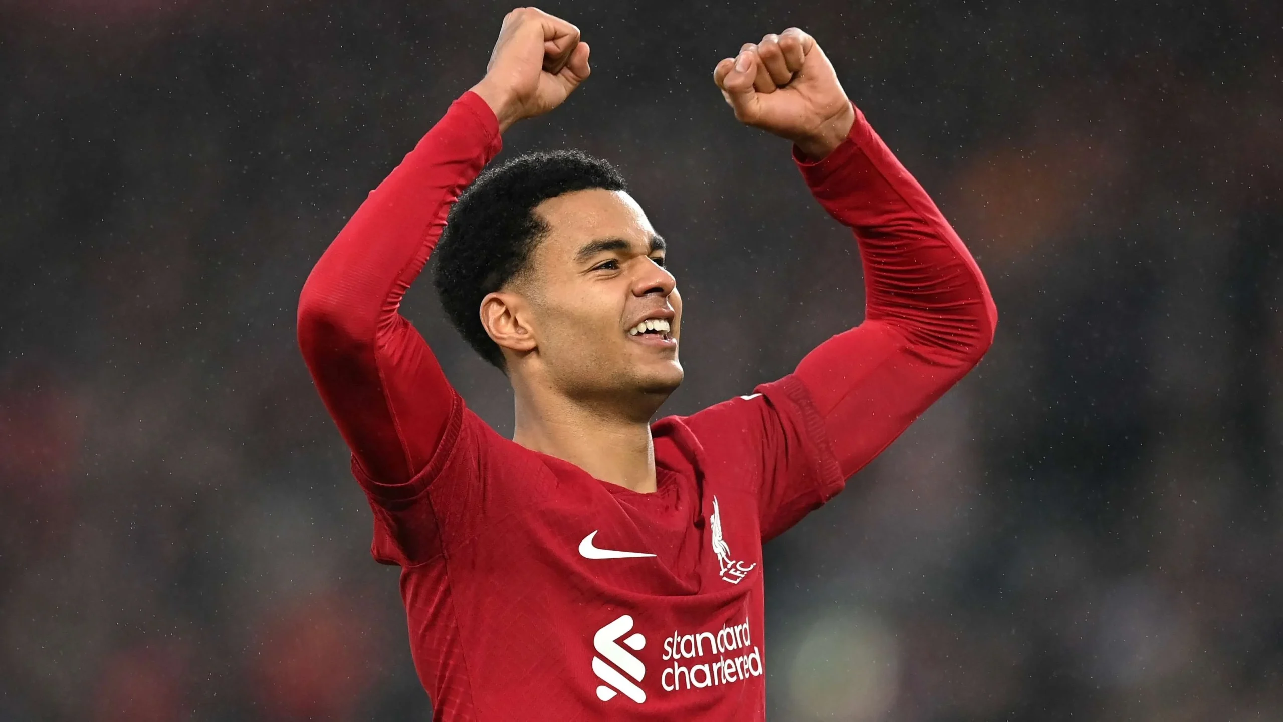 Cody Gakpo Diburu Tottenham dan Manchester United, Apa yang Terjadi?