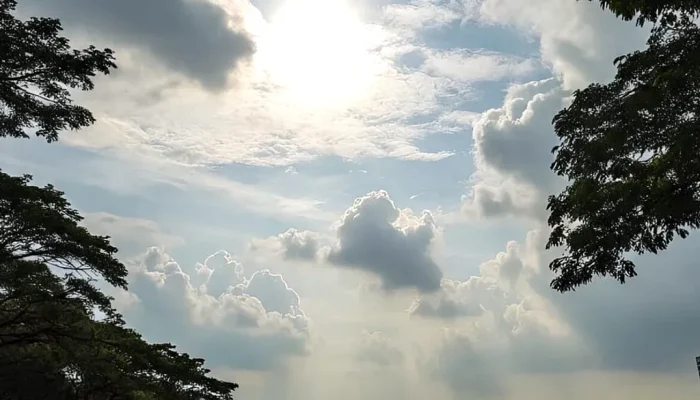 Cuaca Surabaya Didominasi Cerah Berawan, Suhu Siang Hari Capai 32 Derajat Celsius