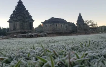 Dieng Siap Menyambut Musim Kemarau 2026 dengan Fenomena Embun Upas yang Lebih Sering