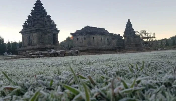 Dieng Siap Menyambut Musim Kemarau 2026 dengan Fenomena Embun Upas yang Lebih Sering