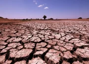 Dunia Menghadapi Krisis Iklim: Bagaimana Afrika dan Dunia Bereaksi?