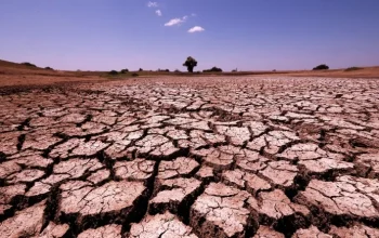 Dunia Menghadapi Krisis Iklim: Bagaimana Afrika dan Dunia Bereaksi?