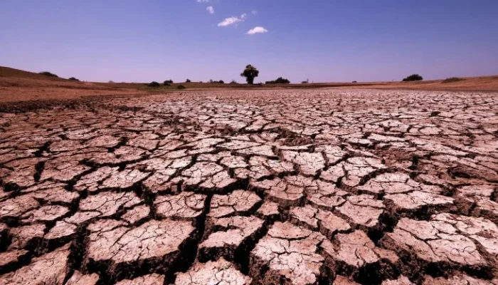 Dunia Menghadapi Krisis Iklim: Bagaimana Afrika dan Dunia Bereaksi?