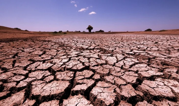 Dunia Menghadapi Krisis Iklim: Bagaimana Afrika dan Dunia Bereaksi?