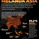 Gelombang Panas Melanda Amerika Serikat dan Indonesia, Suhu Mencapai Rekor Tertinggi