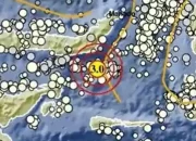 Gempa Bumi di Sulawesi Utara: Info BMKG dan Dampaknya