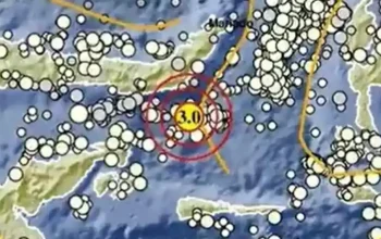 Gempa Bumi di Sulawesi Utara: Info BMKG dan Dampaknya