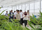 Gibran Rakabuming Raka Dorong Kemandirian Pangan Indonesia
