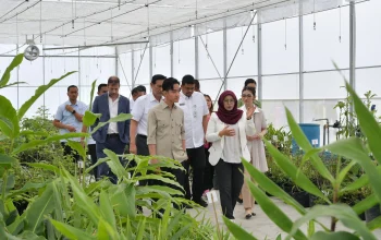 Gibran Rakabuming Raka Dorong Kemandirian Pangan Indonesia