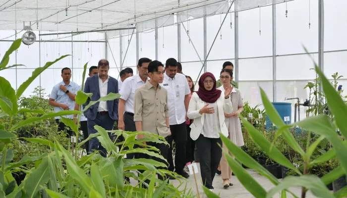 Gibran Rakabuming Raka Dorong Kemandirian Pangan Indonesia