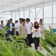 Gibran Rakabuming Raka Dorong Kemandirian Pangan Indonesia