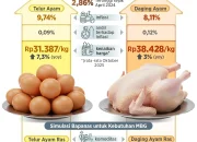 Harga Daging Ayam di Palembang Melonjak, Program Makan Bergizi Gratis Jadi Penyebab