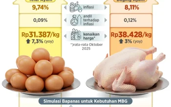 Harga Daging Ayam di Palembang Melonjak, Program Makan Bergizi Gratis Jadi Penyebab