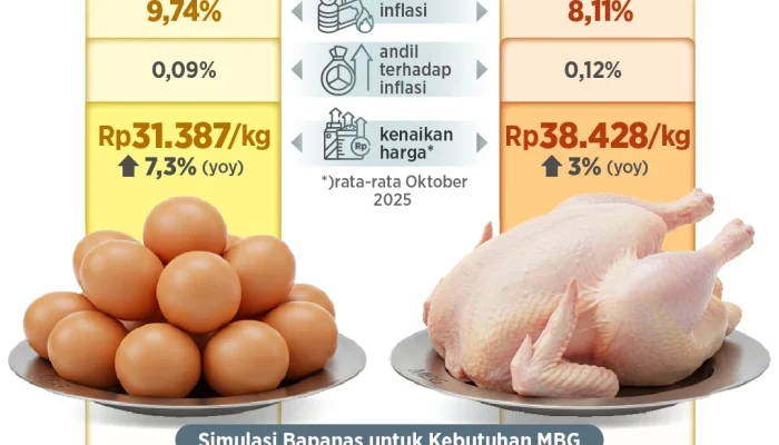 Harga Daging Ayam di Palembang Melonjak, Program Makan Bergizi Gratis Jadi Penyebab