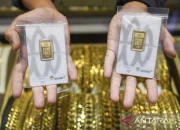 Harga Emas Antam Hari Ini 31 Juli 2026: Naik Tipis, Cek Daftar Lengkap Harga Emas 24 Karat