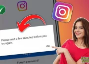 Instagram Error dan Mutant Raccoon Jadi Sensasi, Cara Mengatasi Masalah Login dan Penampakan Hewan Unik di Seattle