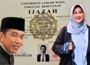 Kasus Ijazah Jokowi: Kuasa Hukum Dokter Tifa Sebut SBY Pernah Disindir dengan Kerbau