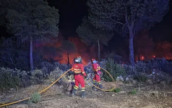 Kebakaran Hutan di Spanyol dan Prancis: Evakuasi Besar-Besaran Dilakukan