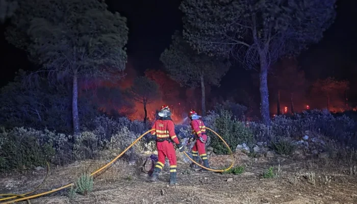 Kebakaran Hutan di Spanyol dan Prancis: Evakuasi Besar-Besaran Dilakukan