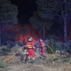 Kebakaran Hutan di Spanyol dan Prancis: Evakuasi Besar-Besaran Dilakukan