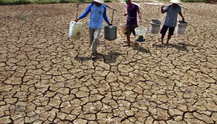 Kemarau Panjang Mengancam Indonesia: Dampak pada Ketersediaan Air Bersih dan Perekonomian