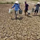 Kemarau Panjang Mengancam Indonesia: Dampak pada Ketersediaan Air Bersih dan Perekonomian
