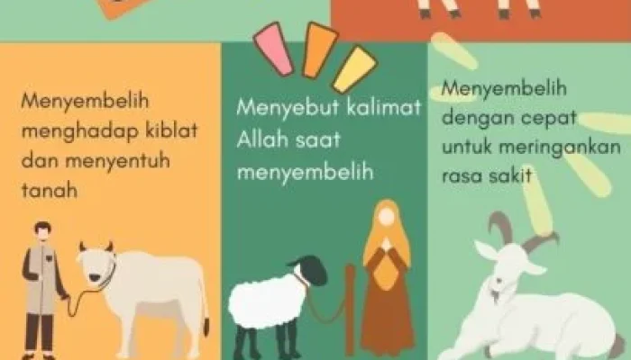 Kemenag Tegaskan Tak Ada Larangan Bagi Umat Muslim Sembelih Hewan Kurban Secara Pribadi