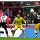 Kontroversi Kiper Belgia: Zlatan Ibrahimovic Kritik Senne Lammens